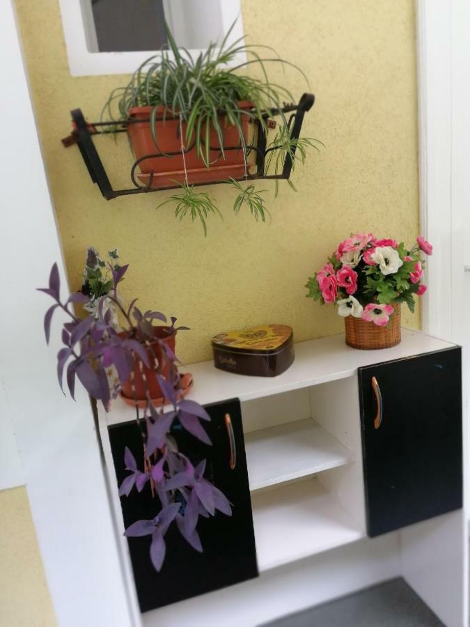 Apartman Manuela Rijeka Buitenkant foto
